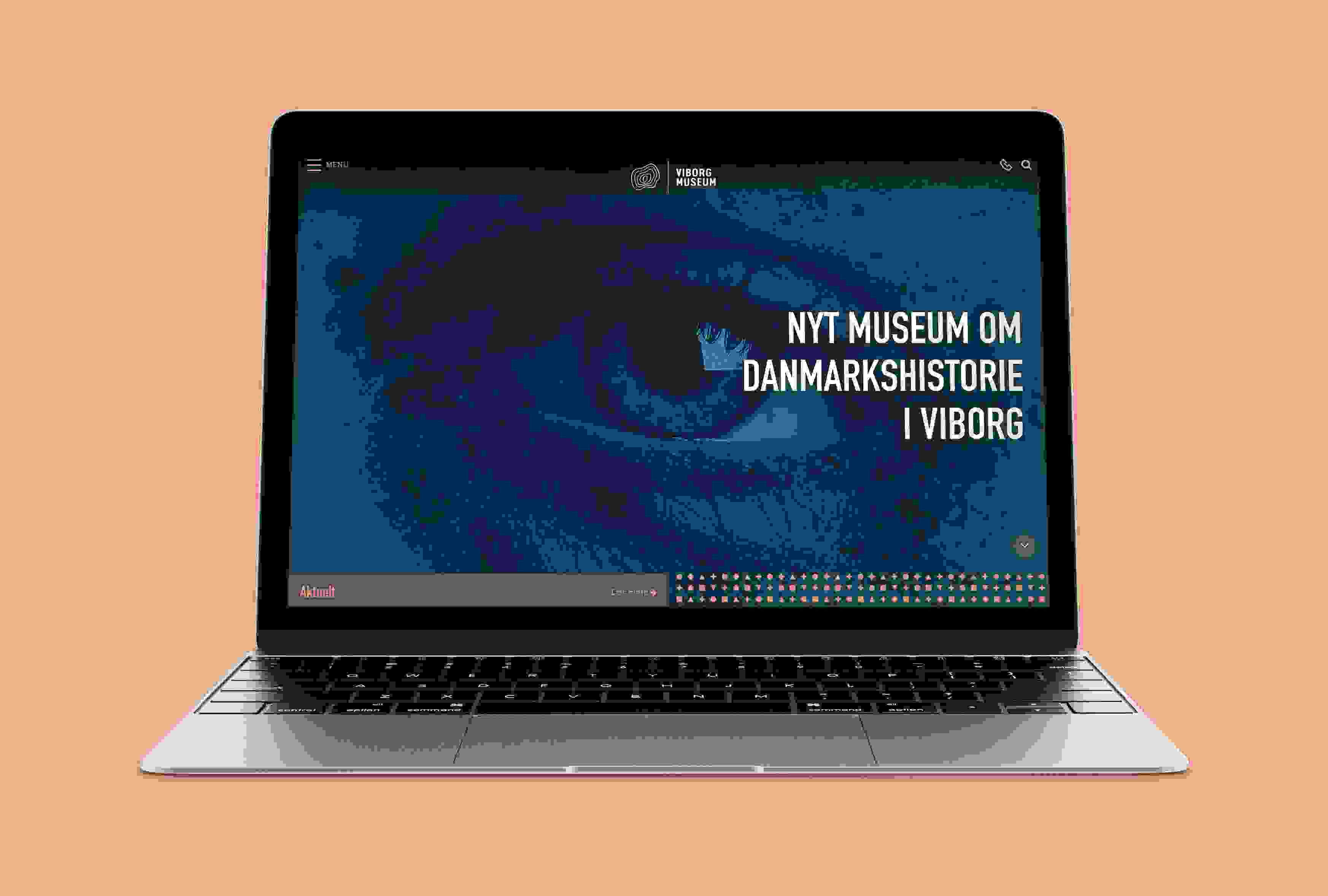Viborg Museum website