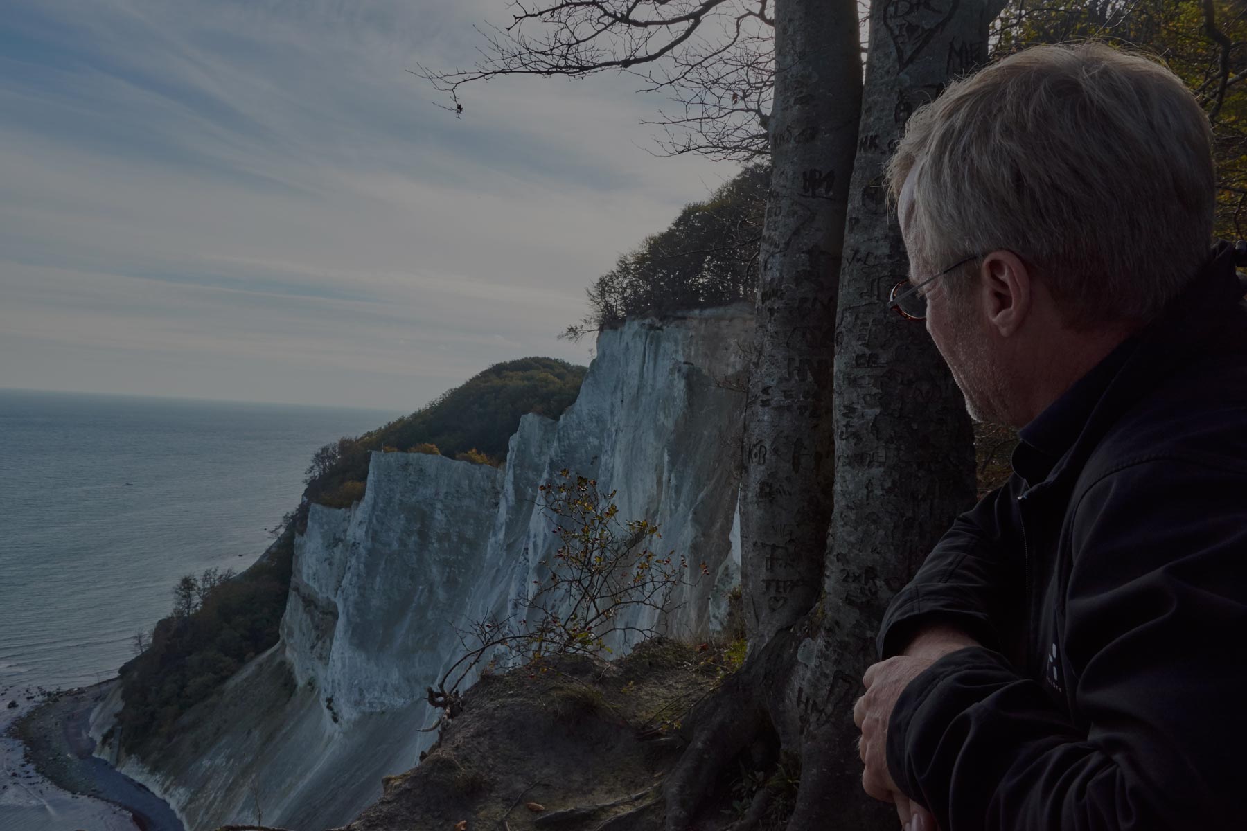 CKT ekspertfilm Kong Gulerod Reklamebureau ApS ckt-ekspertfilm-banner