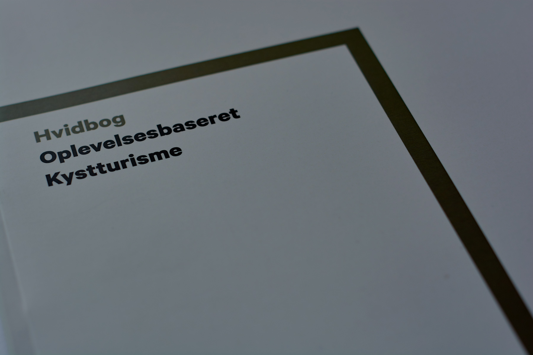 Videncenter
for Kystturisme Kong Gulerod Reklamebureau ApS ckt-hvidborg-oplevelsesbaseret-kystturisme-banner