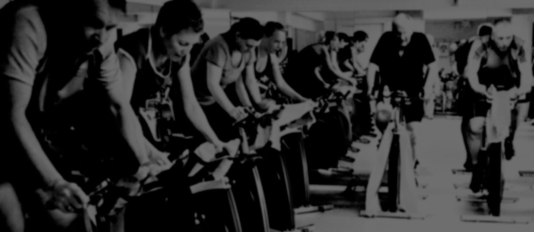 Studie 7 Kong Gulerod Reklamebureau ApS studie-7-banner