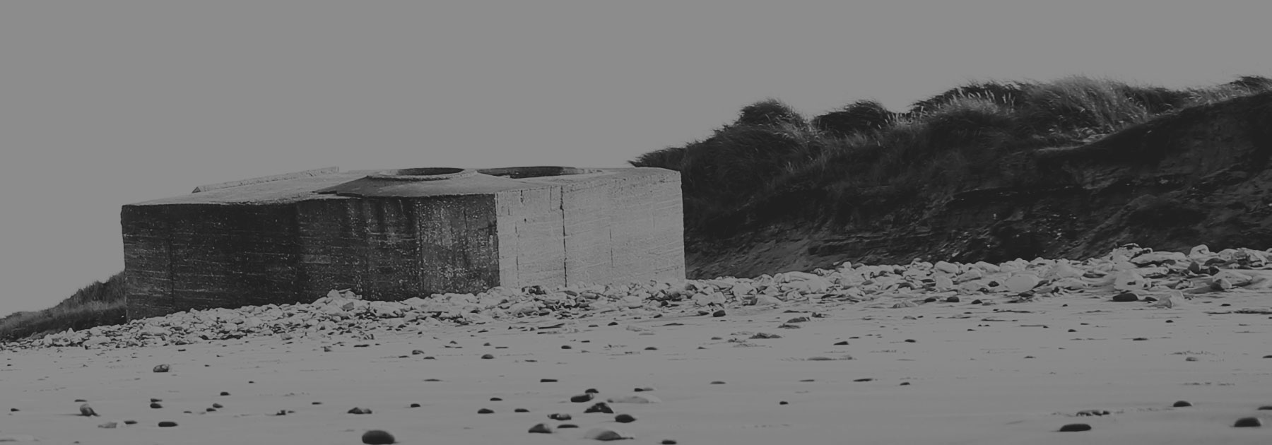 ESP og USP Kong Gulerod Reklamebureau ApS banner09