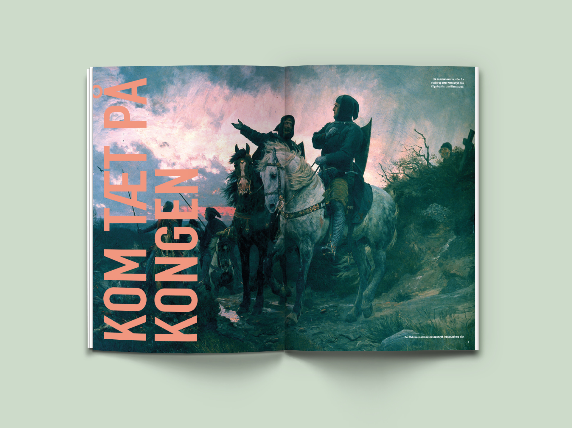 Viborg Museum prospekt