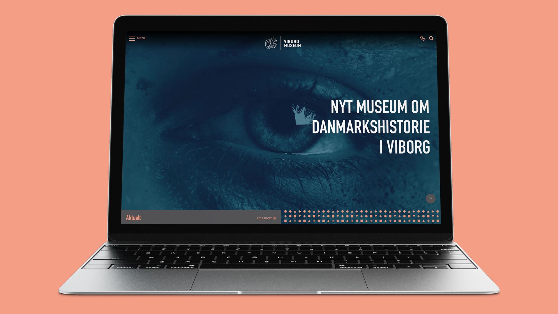 Viborg Museum website
