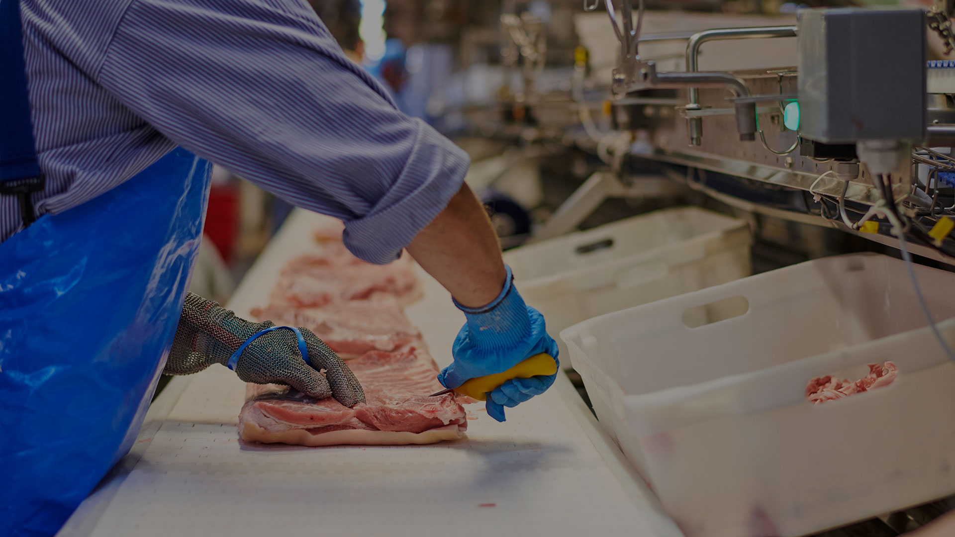 Tican/SB Pork Kong Gulerod Reklamebureau ApS Tican_Top