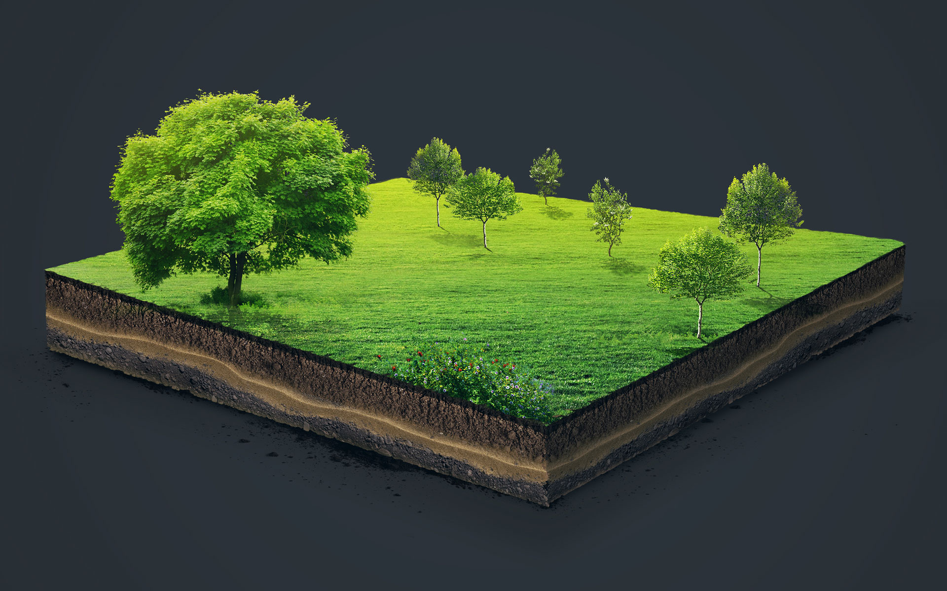 Wintex Agro Kong Gulerod Reklamebureau ApS Wintex top2