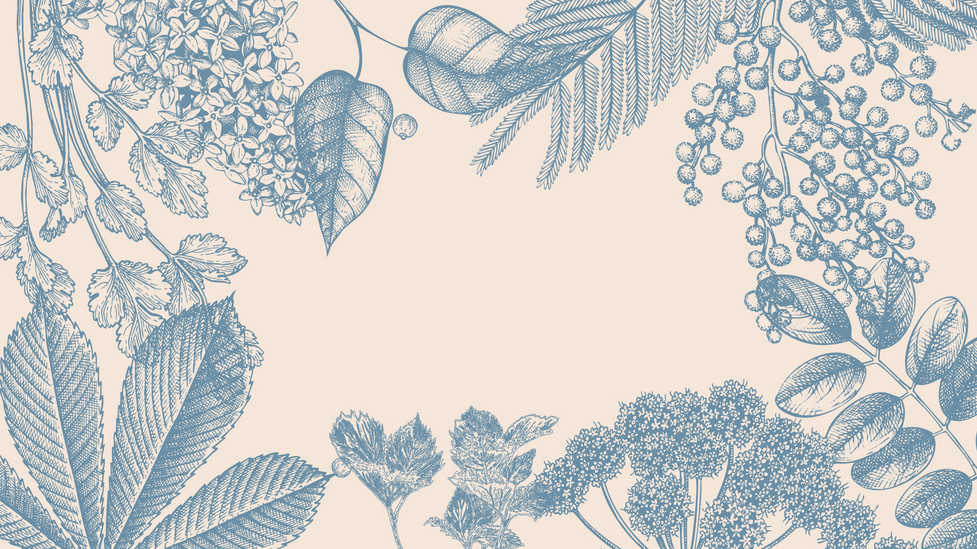 Tranum Mølle Destilleri Kong Gulerod Reklamebureau ApS 