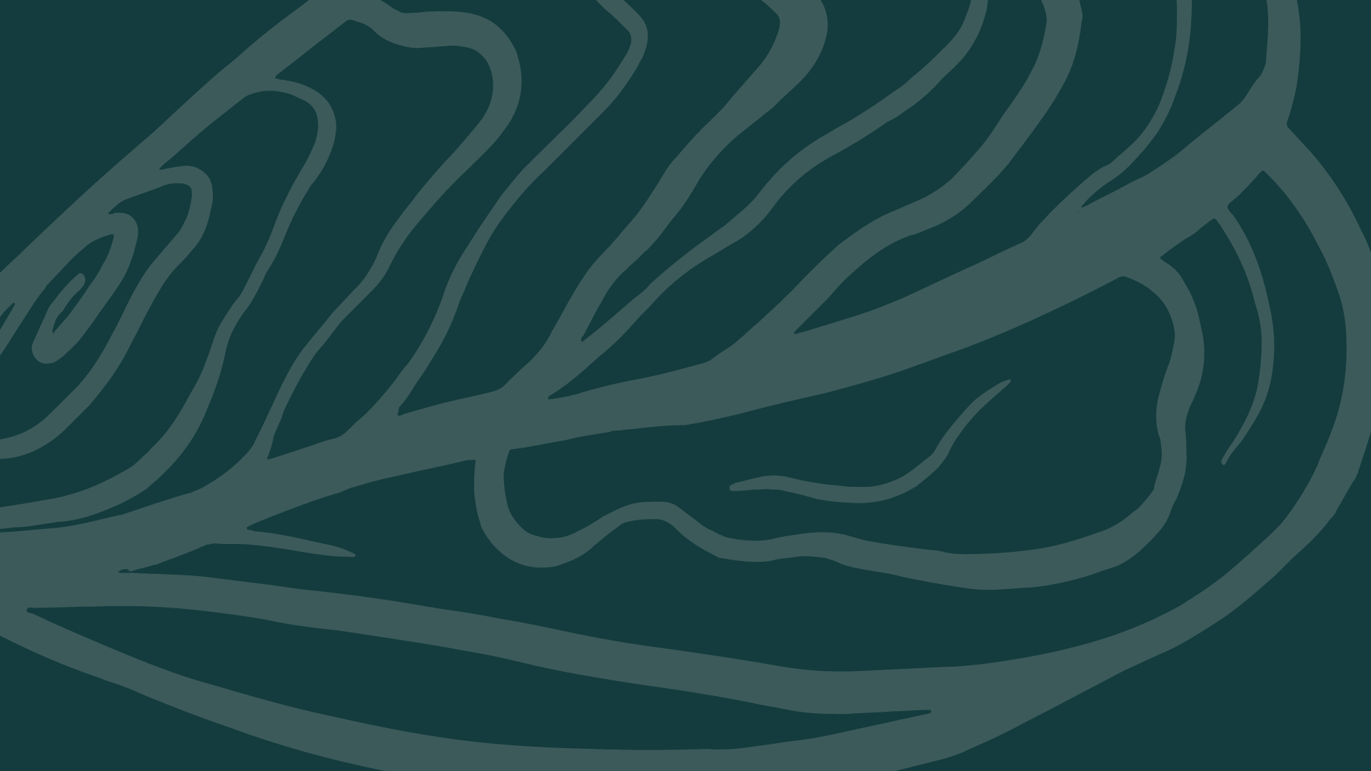 Kurbad Limfjorden Kong Gulerod Reklamebureau ApS 