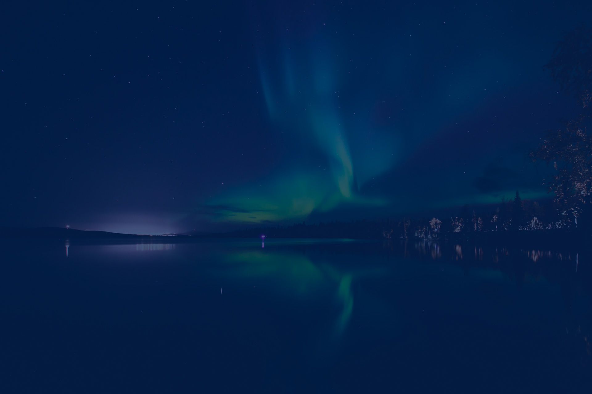 NorthX Kong Gulerod Reklamebureau ApS 