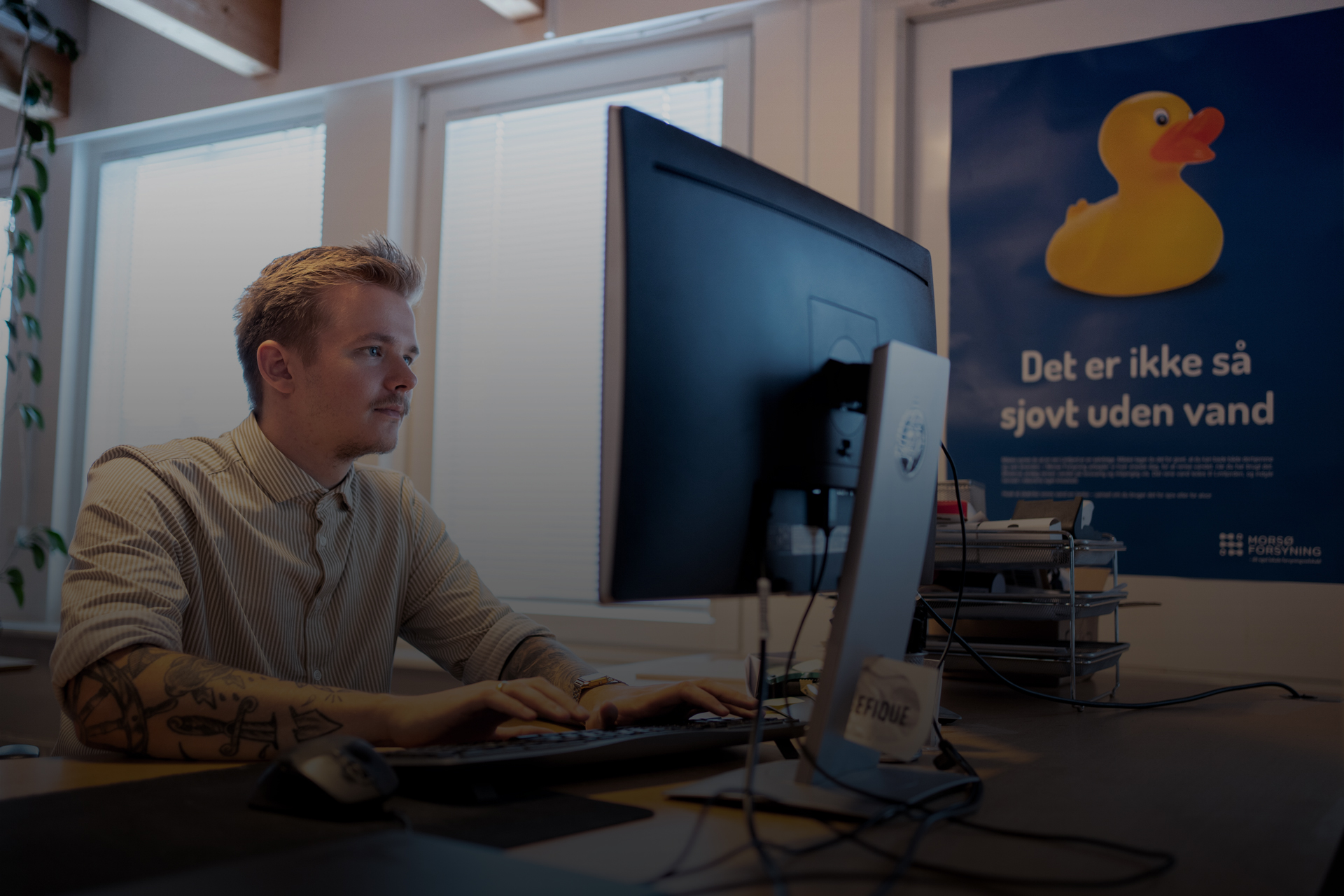 Webshops Kong Gulerod Reklamebureau ApS 